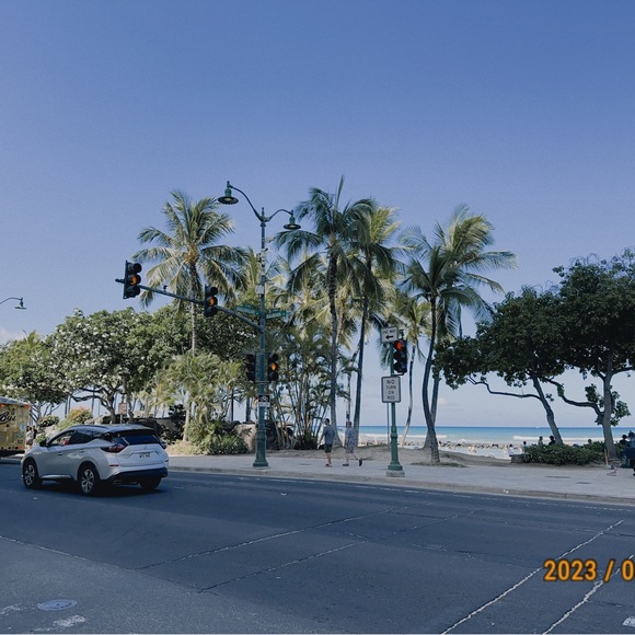 Meet your Posher, Sylvia - Picture 1 of 1